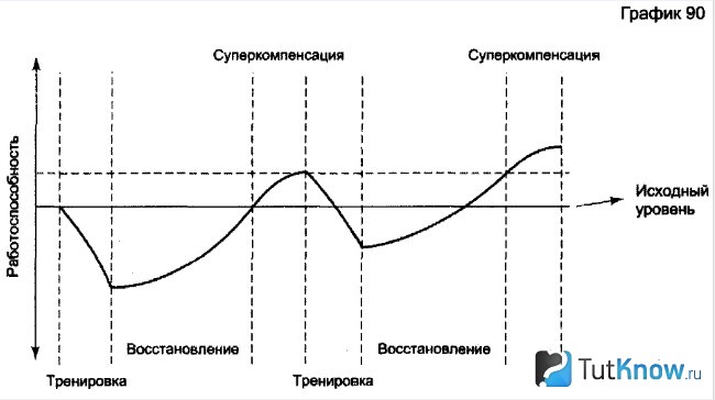 Периодизация тренировочного процесса бодибилдера