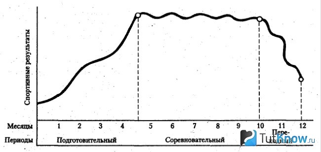 Периодизация цикла тренировок