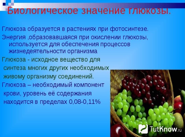 Пояснение значения глюкозы в организме