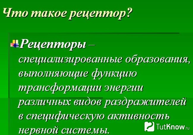 Справка о рецепторе