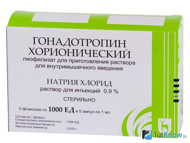 Хорионический Гонадотропин в бодибилдинге