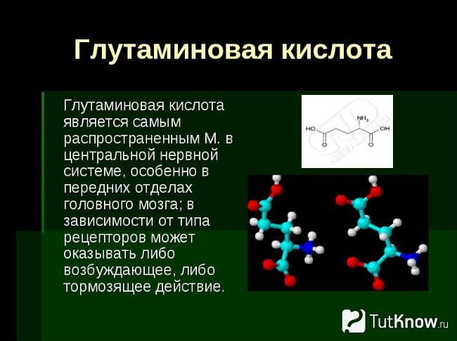 Пояснение о глутаминовой кислоте