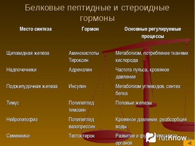 Пептидные и стероидные гормоны