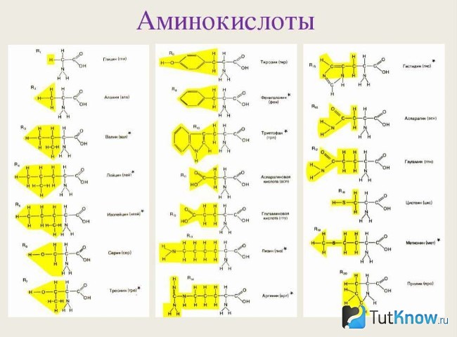 Формулы аминокислот