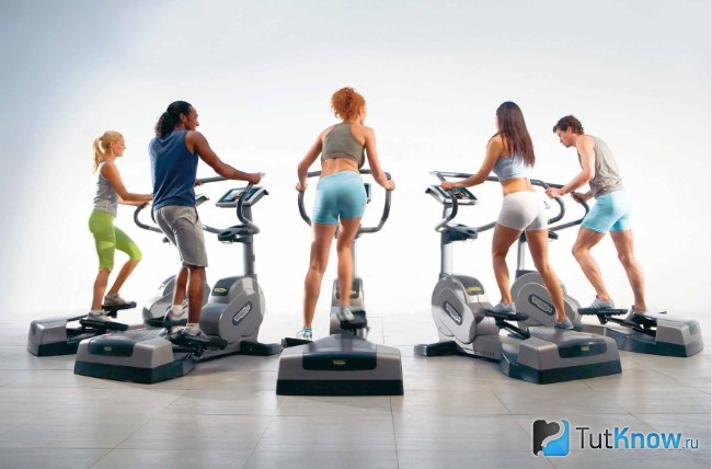 Люди занимаются на кардио тренажерах