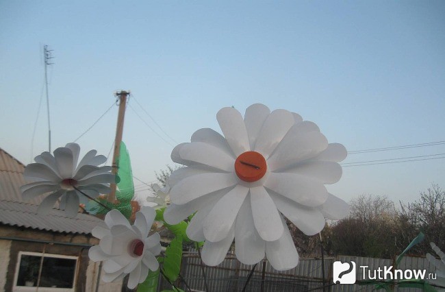 Ромашки из пластиковых бутылок