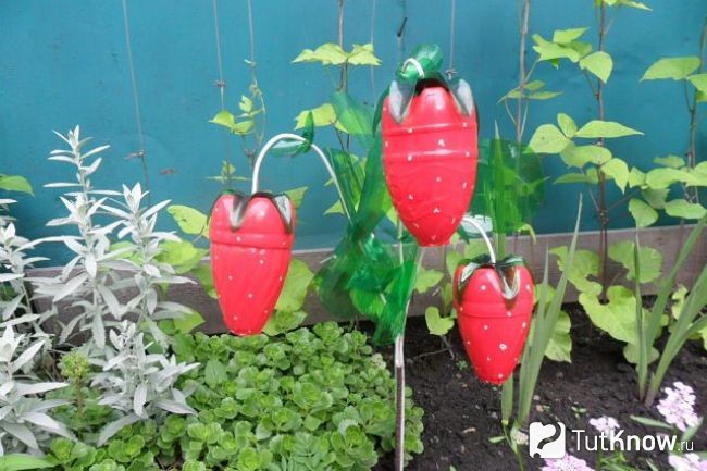 Земляника из пластиковых бутылок