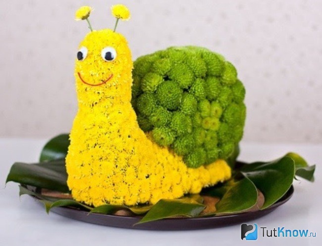 Улитка из хризантем
