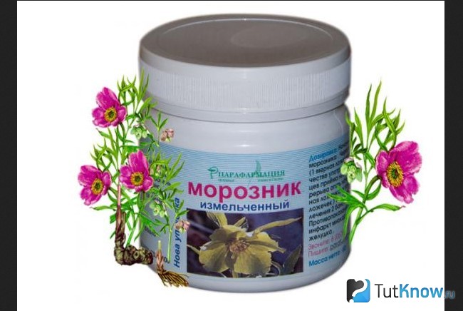 Морозник в баночке