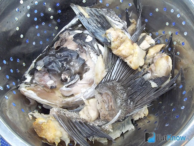 Рыба извлечена из бульона