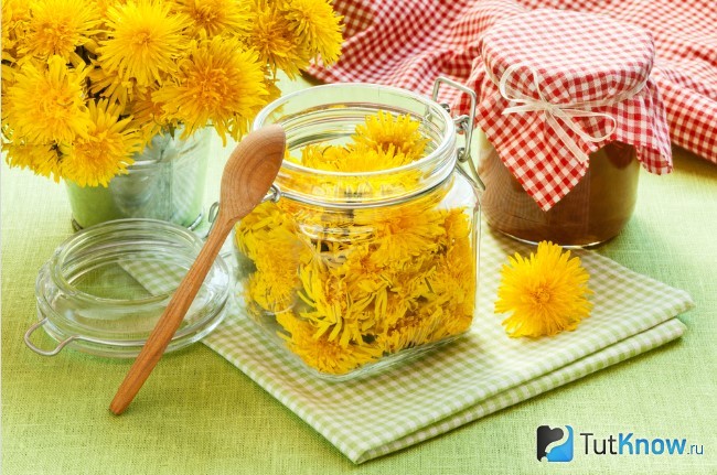 Приготовление варенья из одуванчика