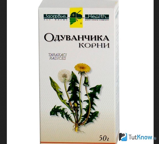 Аптечный корень одуванчика