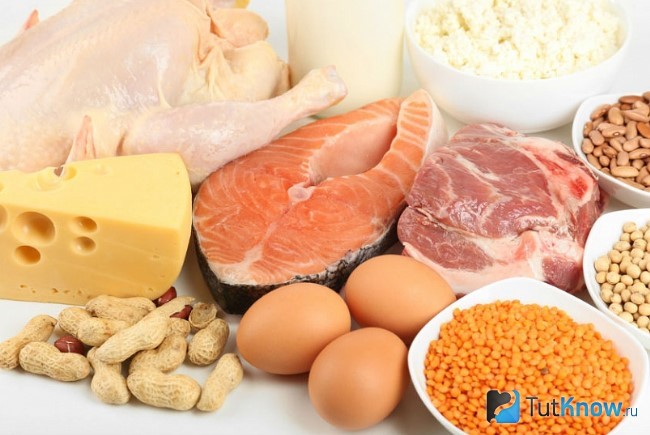 Продукты, содержащие белок