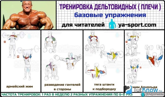 План тренировок