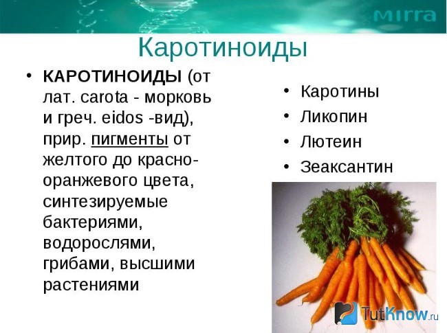 Пояснение о каротиноидах