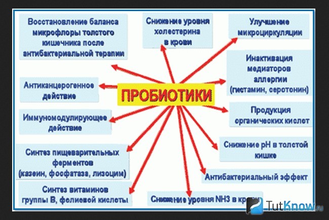 Функции пробиотиков
