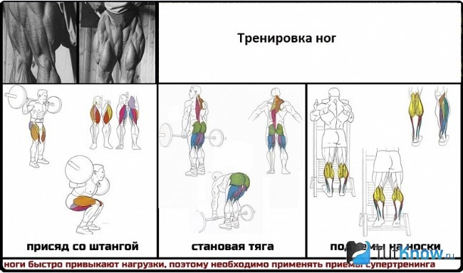 Схема упражнений для тренировки ног