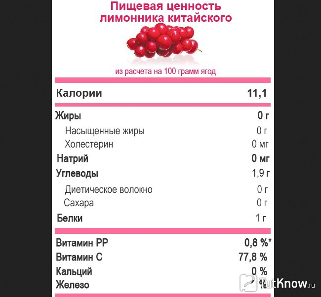 Пищевая ценность ягод лимонника