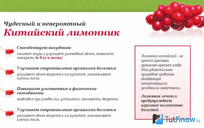 Свойства китайского лимонника