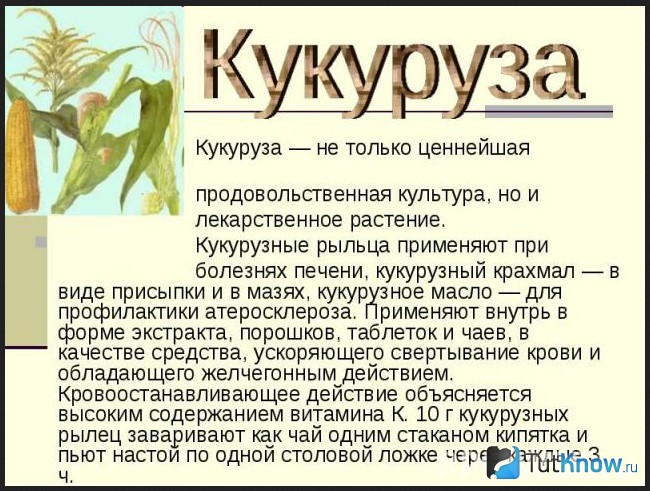 Справка от кукурузе и рыльцах