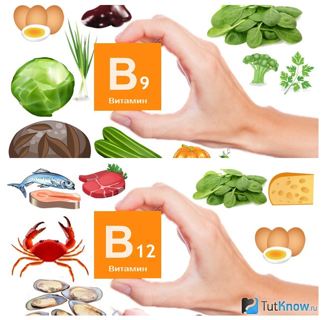 Витамины В9 и В12 в продуктах