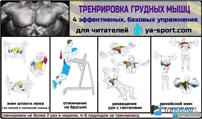 Схема упражнений для груди
