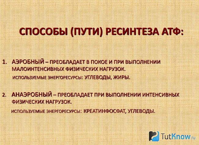 Способы ресинтеза АТФ
