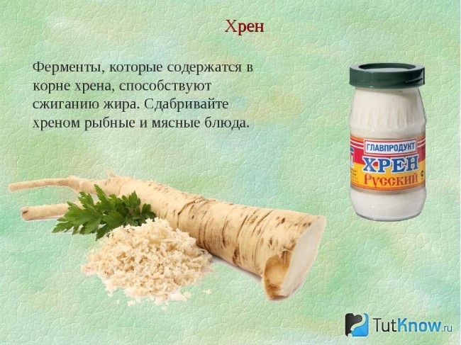 Справка о составе и применении хрена
