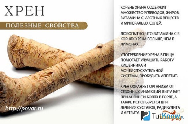Справка о пользе хрена