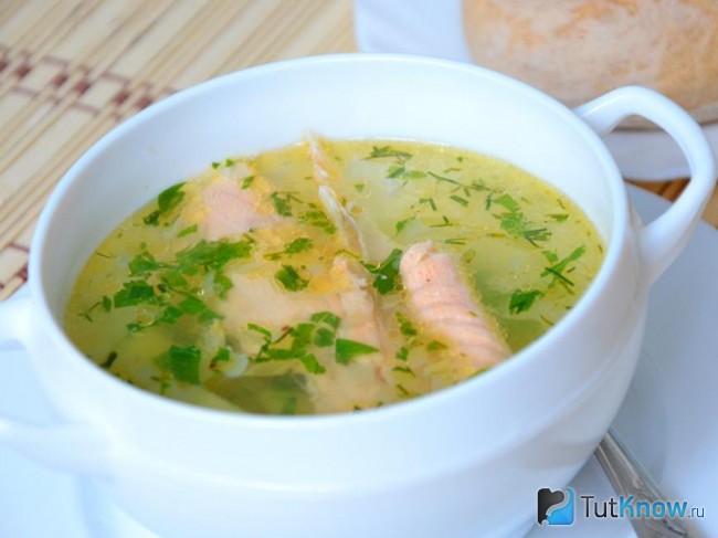 Рецепт ухи из красной рыбы