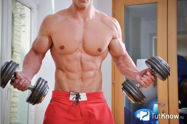 Спортсмен занимается с гантелями