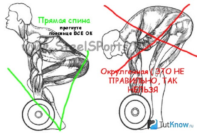 Правильная техника выполнения тяги в наклоне