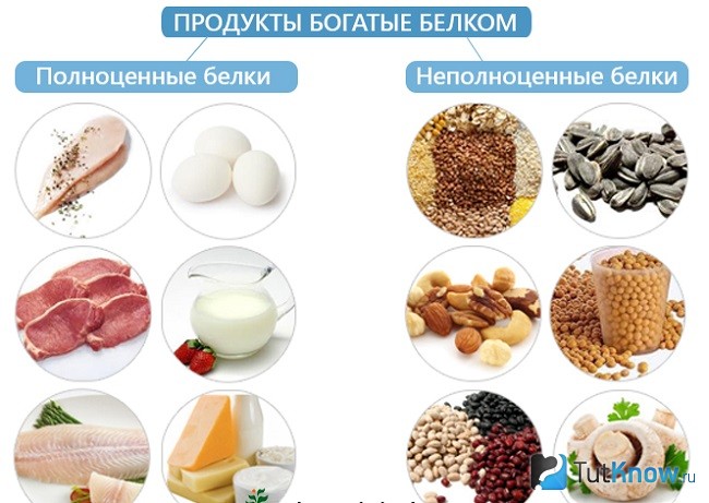 Схема полноценных и неполноценных белков