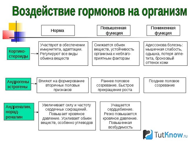 Схема воздействия гормонов на организм
