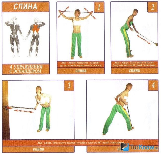 Упражнения с эспандером для спины