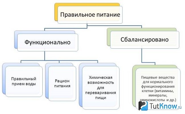 Таблица правильного питания