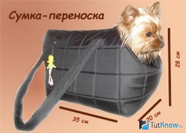 Переноска для собаки