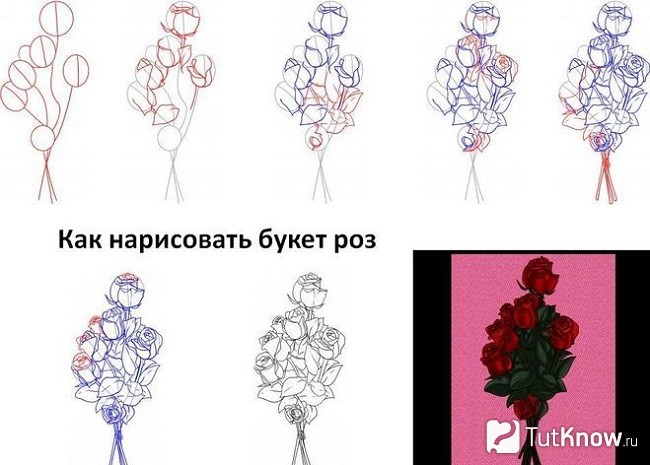 Пошаговое рисование роз