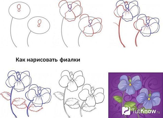 Пошаговое рисование цветов