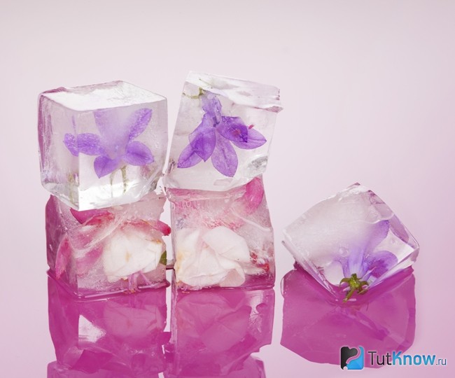 Кубики льда из цветочной воды