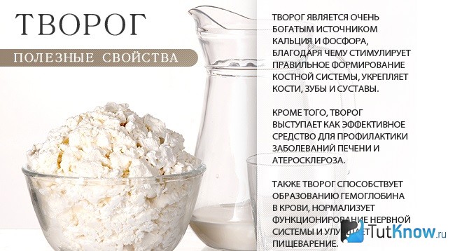 Полезные свойства творога