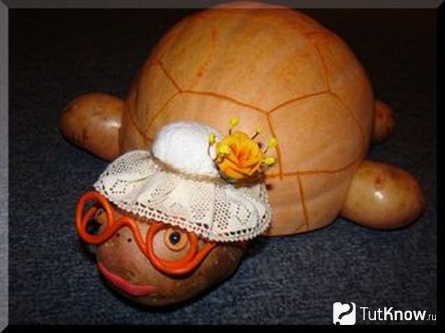 Черепаха Тортилла из тыквы