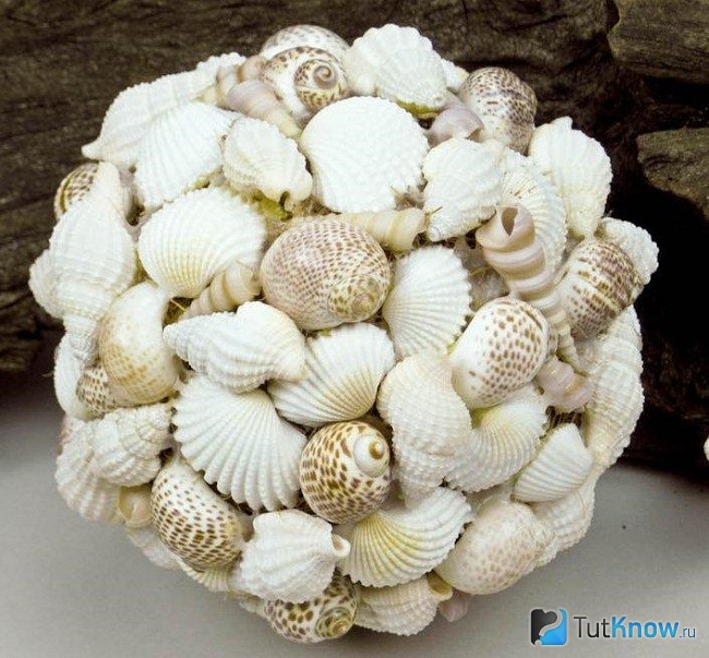 Шар из одинаковых ракушек
