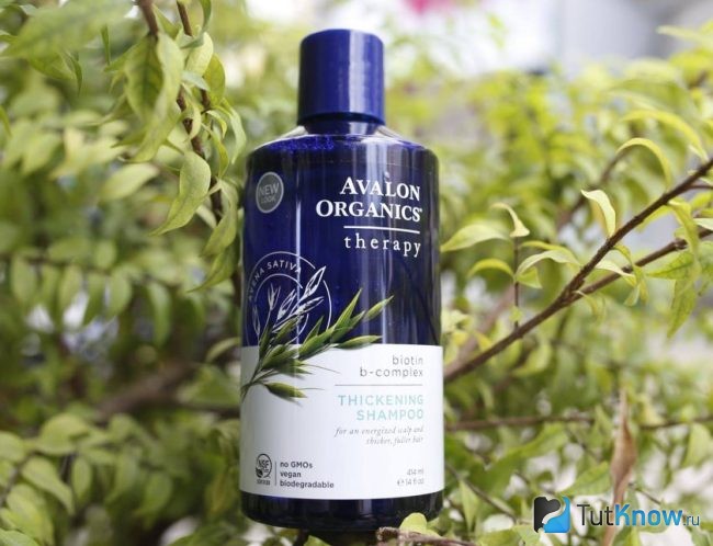 Шампунь Avalon Organics для сухих волос