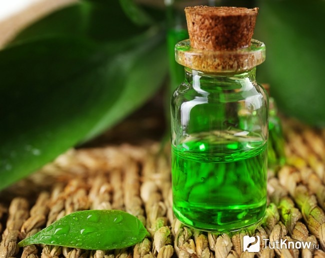 Масло зеленого чая для молочной ванны