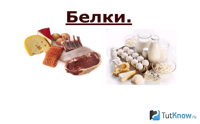 Белки