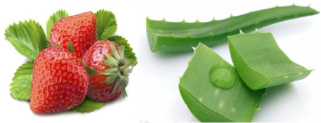 Клубника и алоэ
