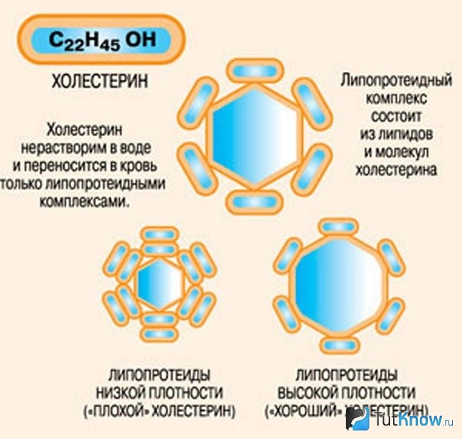 Липопротеины высокой и низкой плотности