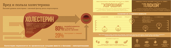 Инфографика о холестерине