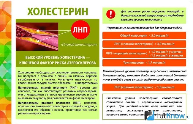Справка о холестерине